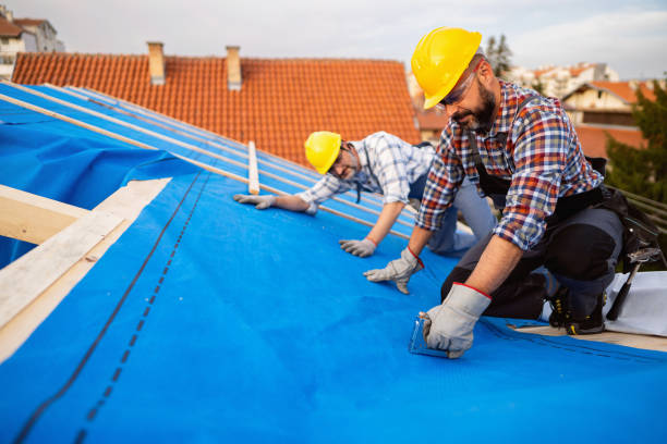 Best Roof Gutter Cleaning  in Dunnigan, CA